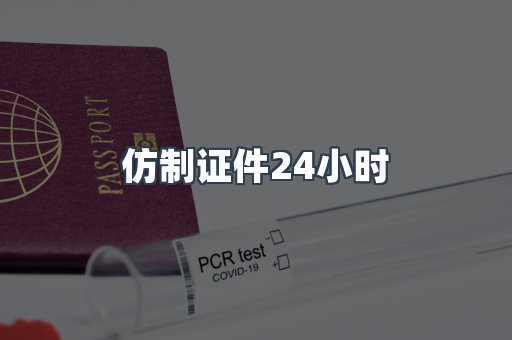 仿制证件24小时
